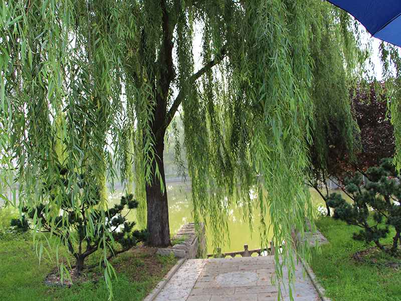 北京潮白陵园墓地价格多少？潮白陵园怎么样？