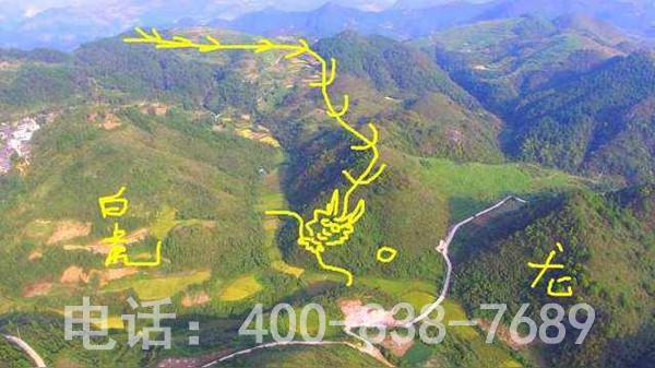 坟地墓地左青龙右北虎是咋回事